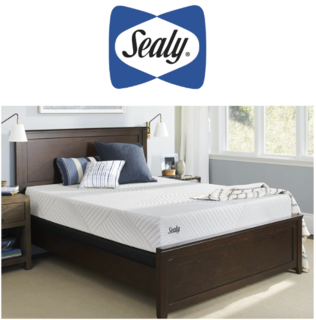 Sealy Logo